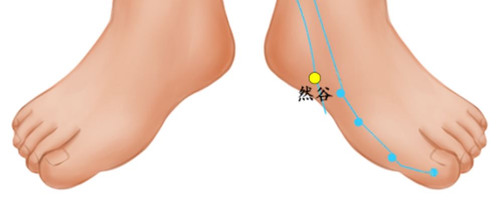 然谷穴位的準(zhǔn)確位置圖