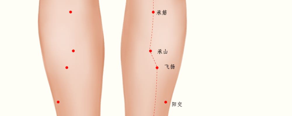 承山穴位的準(zhǔn)確位置圖