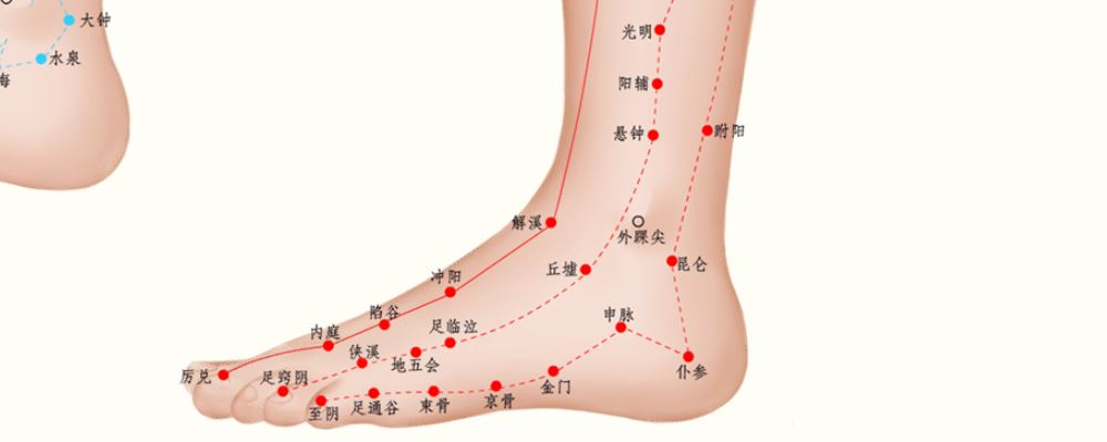 足臨泣穴位的準(zhǔn)確位置圖