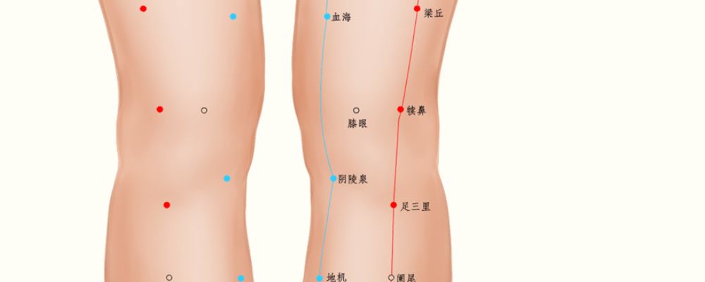 膝眼穴位的準(zhǔn)確位置圖