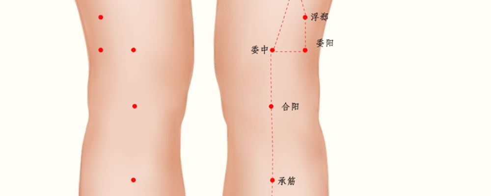 合陽穴位的準(zhǔn)確位置圖