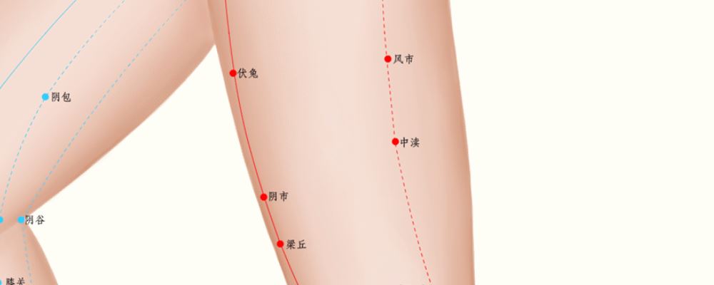 中瀆穴位的準(zhǔn)確位置圖