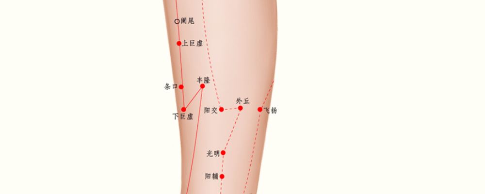 豐隆穴位的準(zhǔn)確位置圖