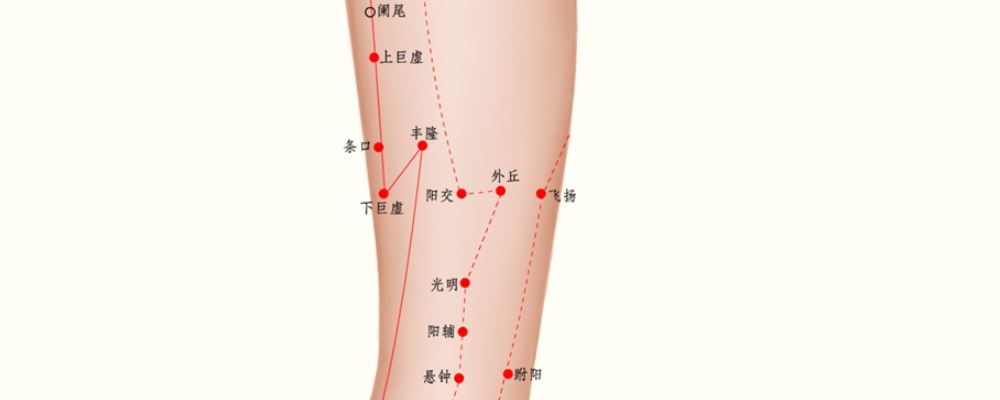 條口穴位的準(zhǔn)確位置圖