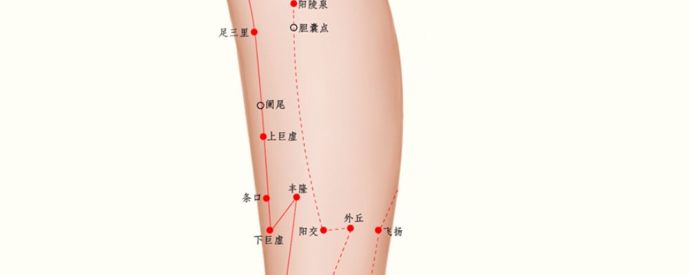 上巨虛穴位的準(zhǔn)確位置圖