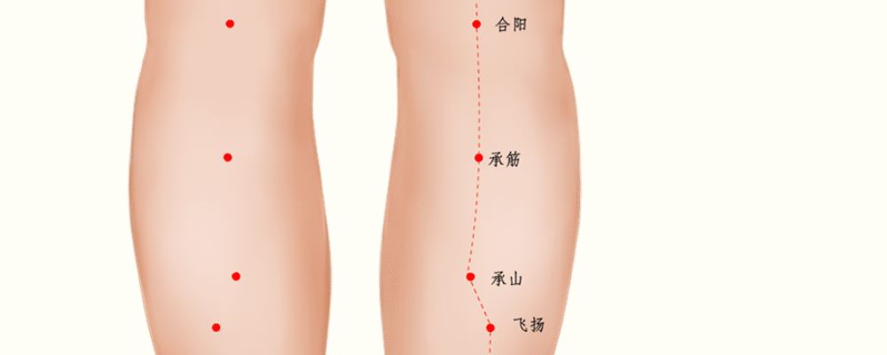 承筋穴位的準(zhǔn)確位置圖