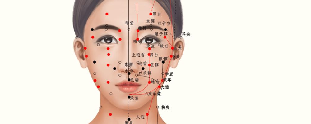 顴髎穴位的準(zhǔn)確位置圖