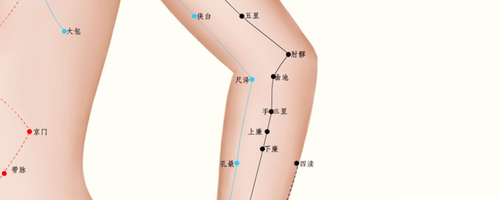 手三里穴位的準(zhǔn)確位置圖