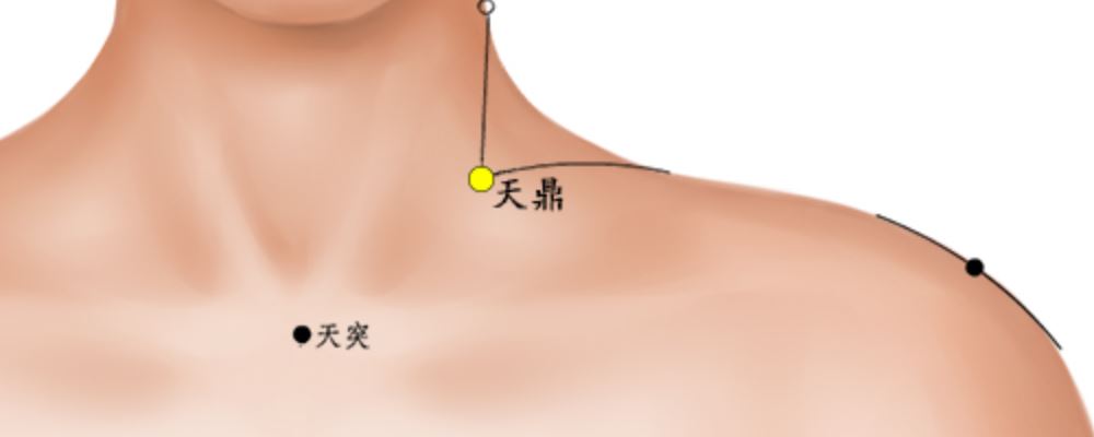 天鼎穴穴位的準(zhǔn)確位置圖