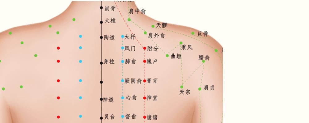 大杼穴位的準(zhǔn)確位置圖