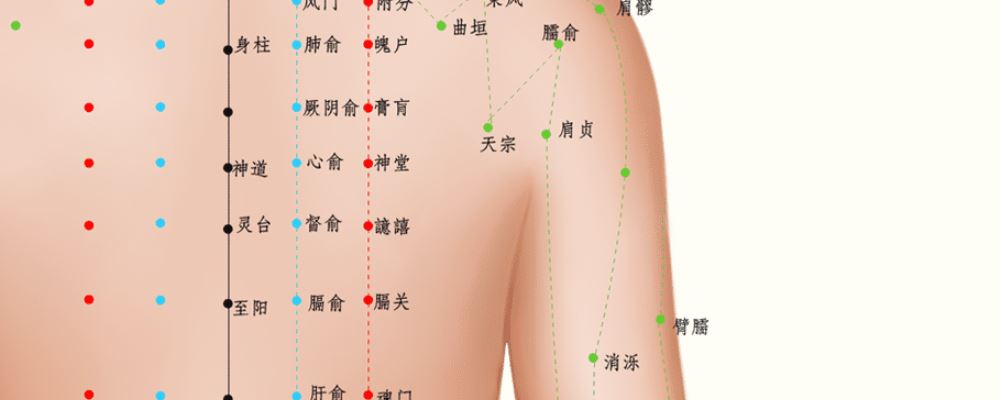 神堂穴位的準(zhǔn)確位置圖