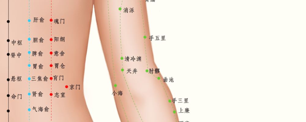 手五里穴位的準(zhǔn)確位置圖