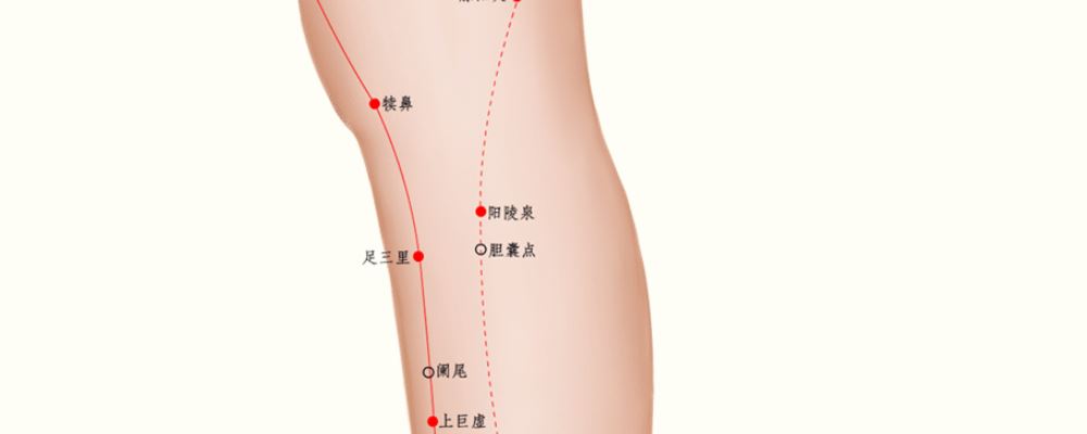 膽囊穴位的準(zhǔn)確位置圖