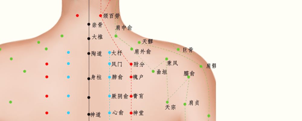 按摩定喘穴位的作用