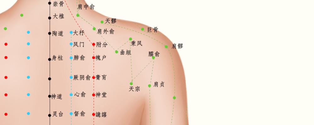 按摩秉風(fēng)穴位的作用