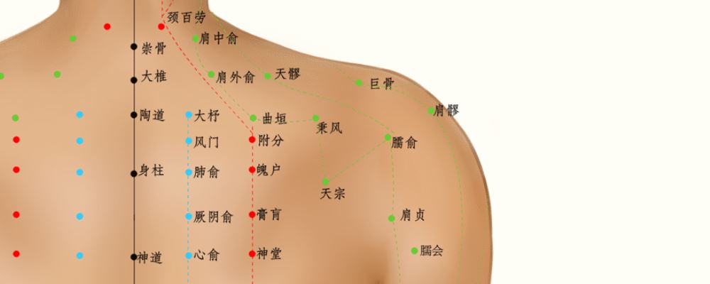 按摩曲垣穴位的作用