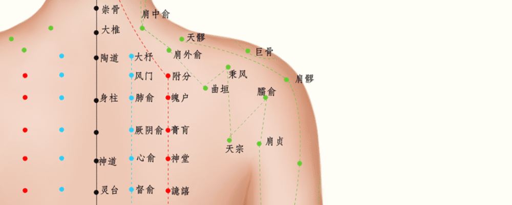 按摩臑俞穴位的作用