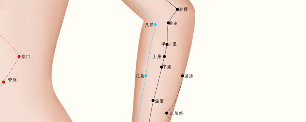 按摩上廉穴位的作用