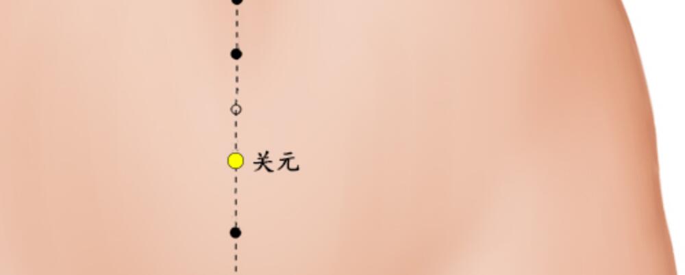 補(bǔ)腎固本 關(guān)元穴的作用及位置