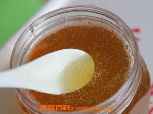 怎么鑒別蜂蜜是否變質(zhì)了 變質(zhì)蜂蜜有什么表現(xiàn)