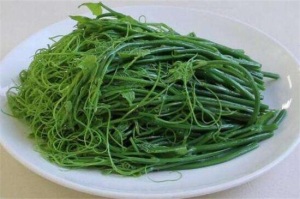 龍須菜是什么菜，野生名菜且營養(yǎng)價值高