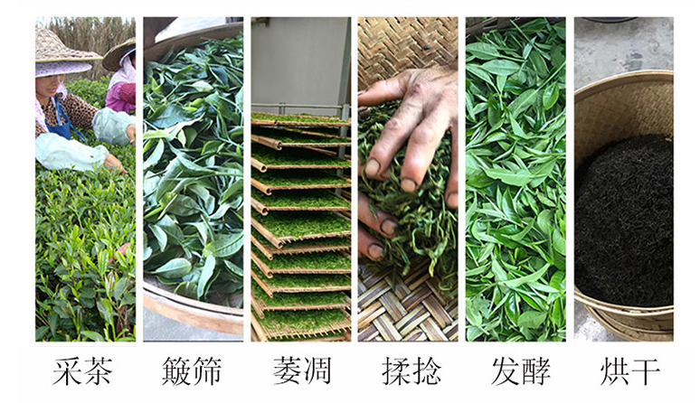 平常紅茶具備的功效有那些