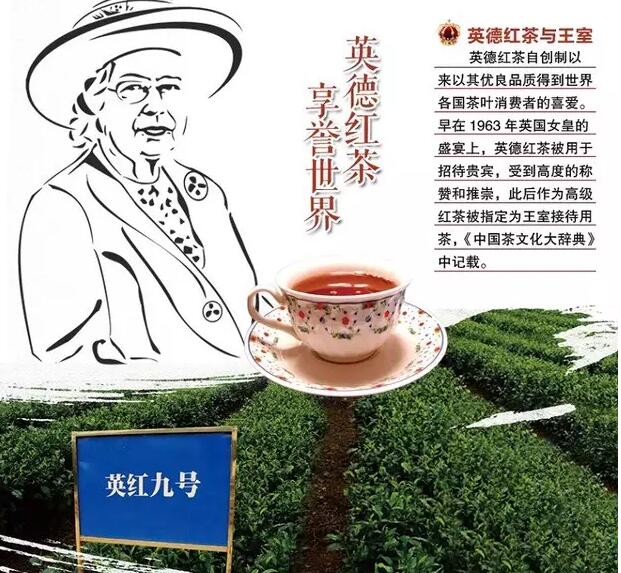 英德紅茶有什么功效與禁忌？