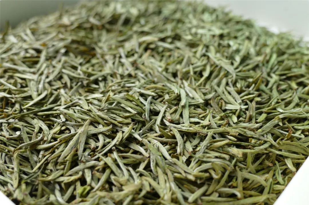 黃茶是不是綠茶？黃茶的品質特征