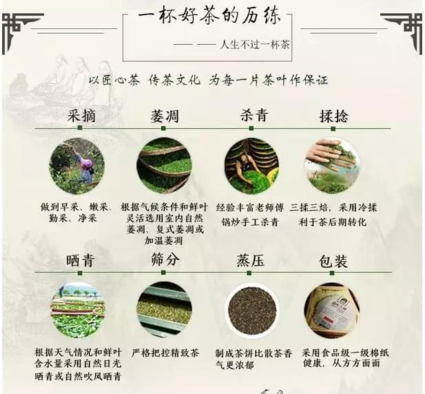 為什么古樹普洱茶的價(jià)格越來越高了？