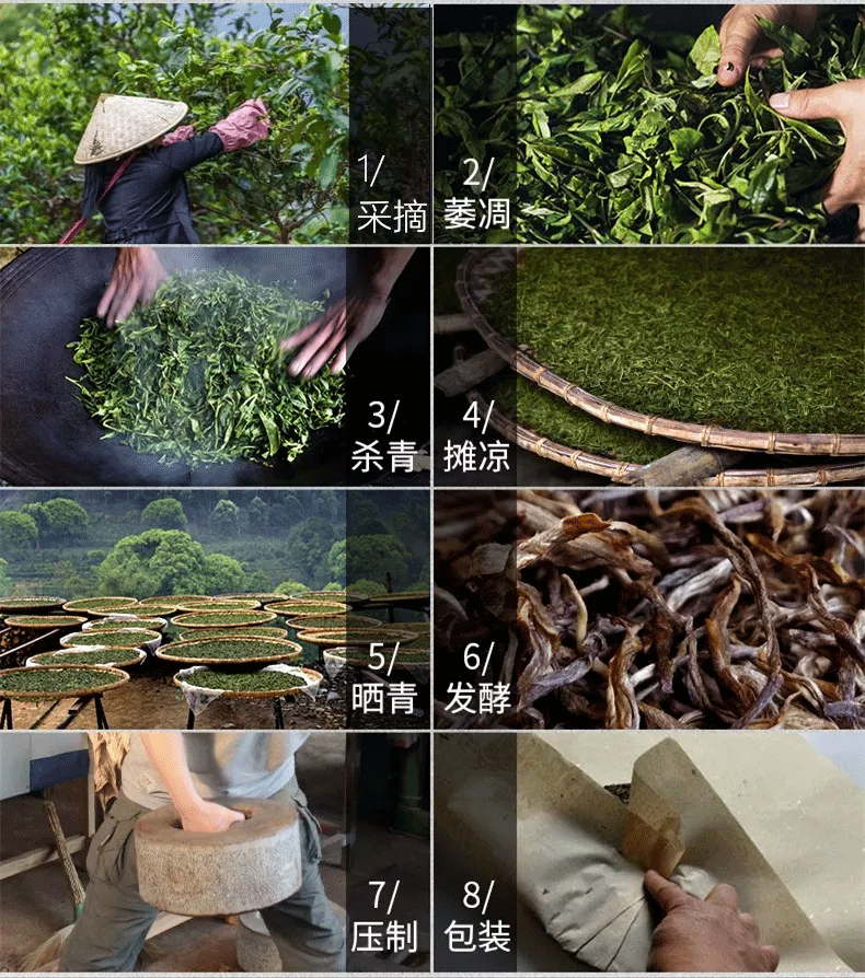 普洱網(wǎng)_傳統(tǒng)手工制作普洱茶，讓你何處一杯好茶