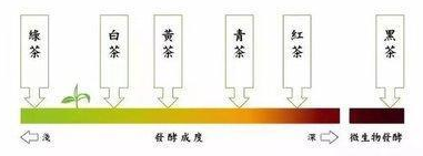 茶葉怎么品鑒？茶葉品質(zhì)鑒別有哪些過程？