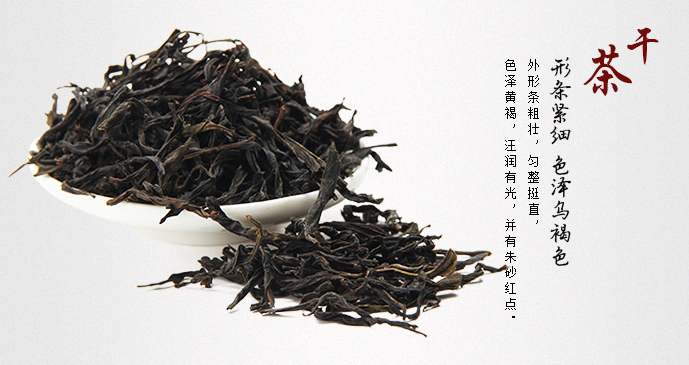 秋季喝鳳凰單叢茶的好處