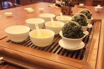 【茶常識】煮茶和泡茶的區(qū)別是什么？煮茶還要洗茶嗎？