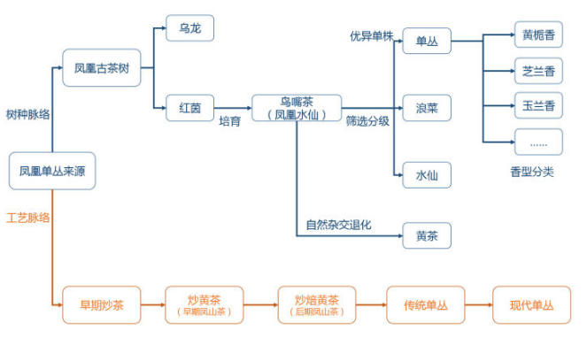 【鳳凰單叢】鳳凰單叢的由來？