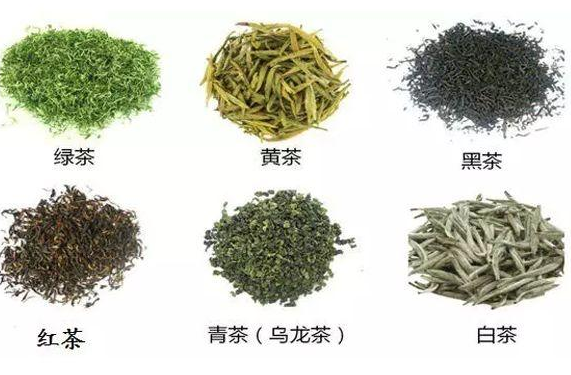 中國六大茶系指哪些?它們的特點都有哪些?