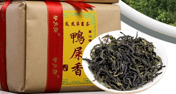 茶中的奇葩，為何叫做鴨屎香茶？