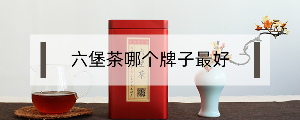 六堡茶哪個(gè)牌子好？