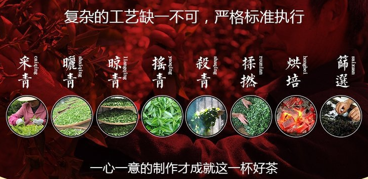 鳳凰單叢是什么茶？