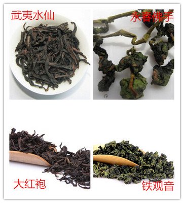 烏龍茶是哪里的特產(chǎn)？烏龍茶的產(chǎn)地簡述