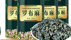 羅布麻茶怎么樣 羅布麻茶的功效與禁忌詳情一覽