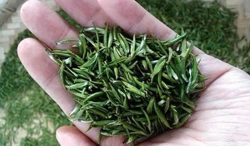 竹葉青茶屬于什么茶？屬于綠茶嗎？