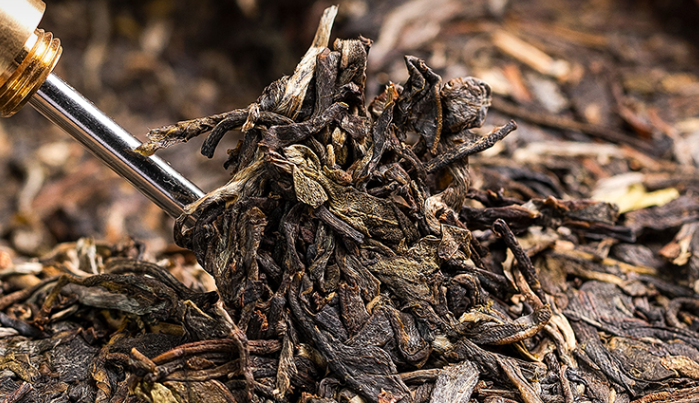 普洱生茶和熟茶的區(qū)別？普洱熟茶好還是生茶好？