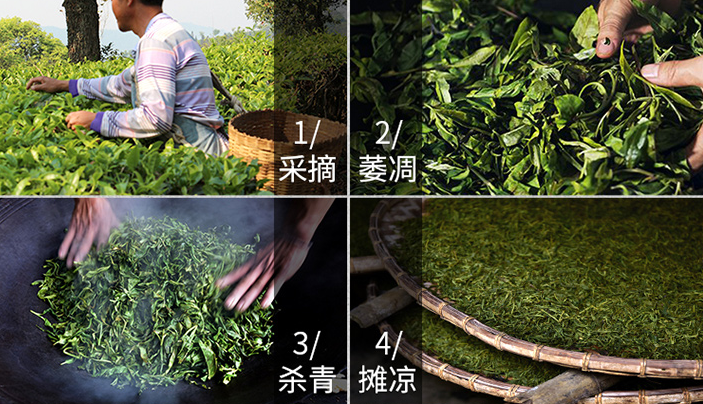 普洱生茶和熟茶的區(qū)別？普洱熟茶好還是生茶好？