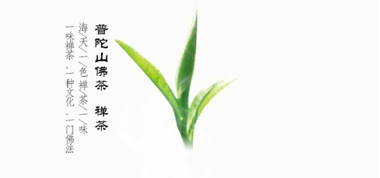 普陀佛茶的春茶價(jià)格是多少錢？（收藏）