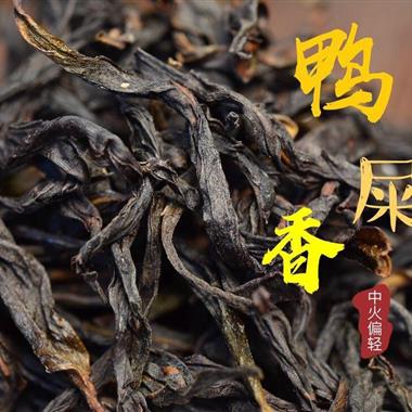 鴨屎香是什么茶價(jià)格（鳳凰單叢鴨屎香）