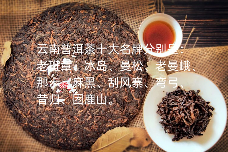 云南普洱茶十大名牌（云南十大最古老的普洱茶樹排名）