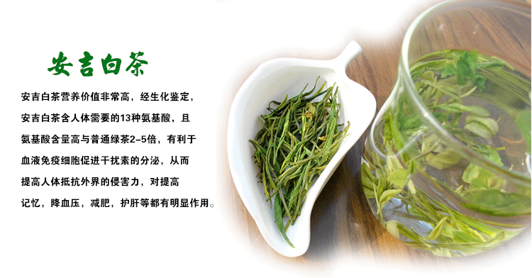 安吉白茶需要洗茶嗎？