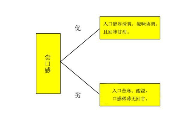 小青柑普洱茶怎么挑選（挑出上好小青柑）