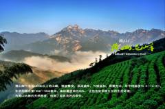 黃山毛峰屬于什么茶？黃山毛峰簡(jiǎn)介