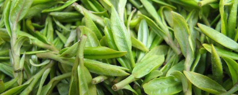 雀舌茶是什么茶（雀舌茶市場價(jià)）